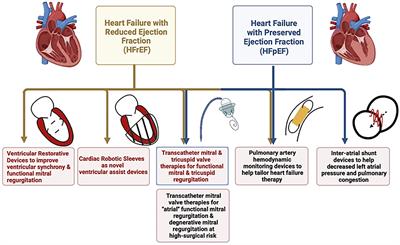 Restructuring the Heart From Failure to Success: Role of Structural Interventions in the Realm of Heart Failure